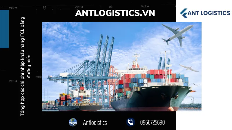 Lời khuyên cho doanh nghiệp khi nhập khẩu hàng FCL