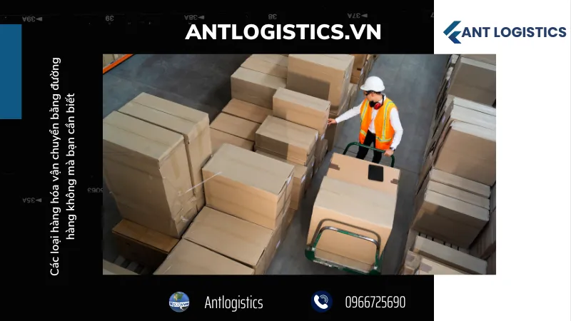Các hình thức vận chuyển đường hàng không