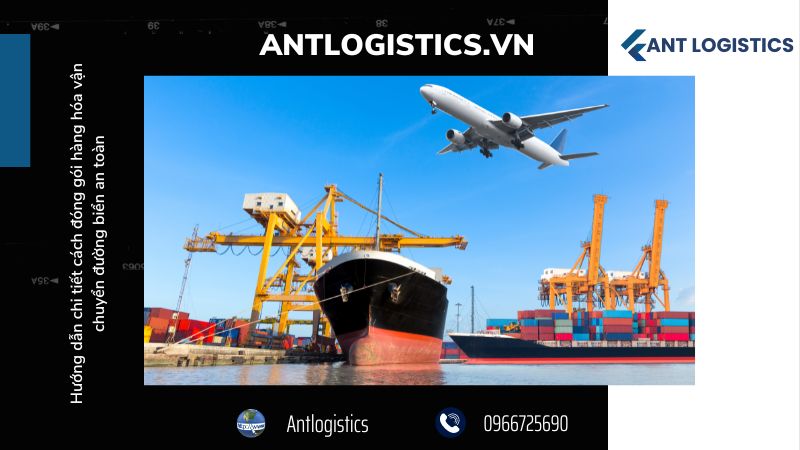 Chọn đơn vị vận chuyển uy tín