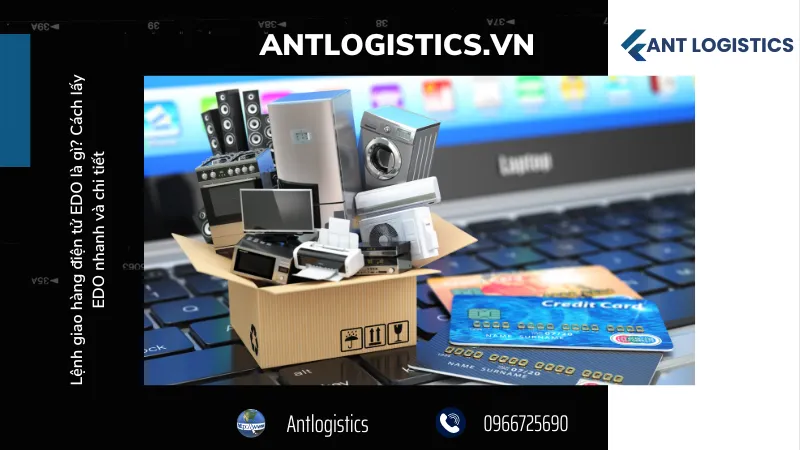 Trách nhiệm của các bên trong quy trình EDO