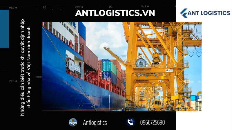 Các lưu ý quan trọng khi nhập khẩu lần đầu: Từ A đến Z