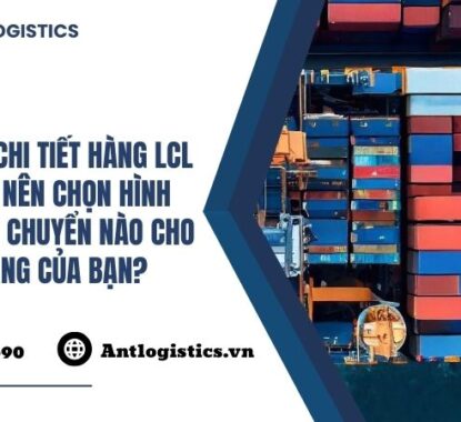So sánh chi tiết hàng LCL và FCL Nên chọn hình thức vận chuyển nào cho lô hàng của bạn