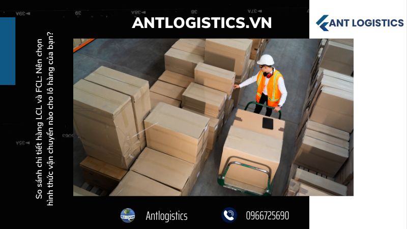 Tổng quan về FCL và LCL