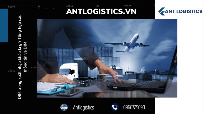 Ứng dụng của DIM trong xuất nhập khẩu