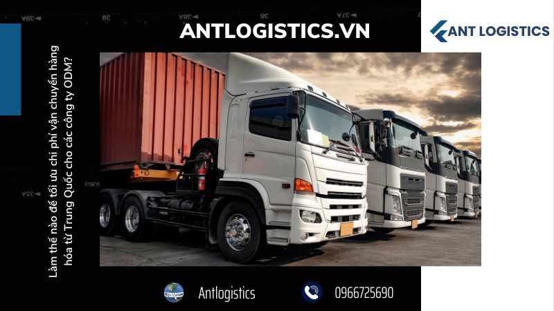 Hiểu rõ mô hình ODM và thách thức logistics