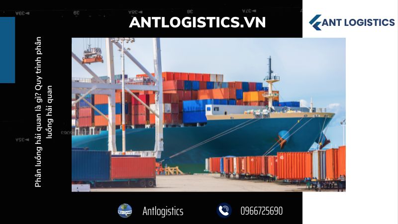 Quy trình phân luồng hải quan