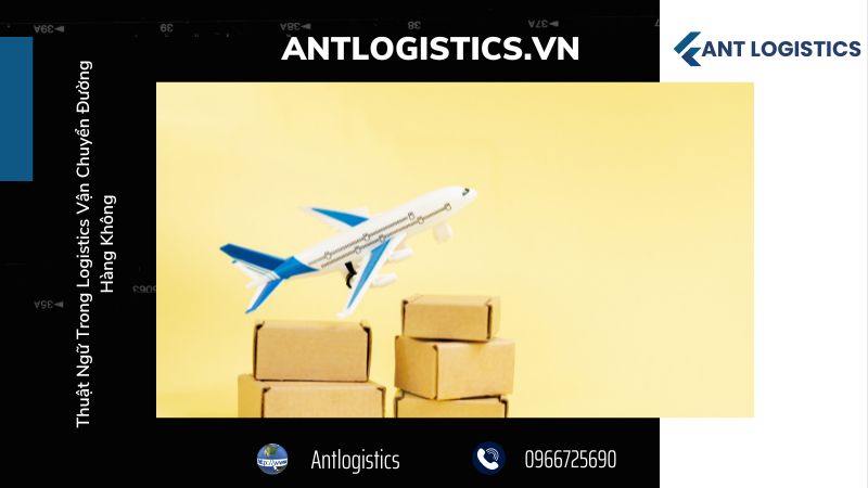 Thuật Ngữ Quy Trình Hải Quan