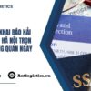 Dịch vụ khai báo hải quan tại Hà Nội trọn gói, thông quan ngay