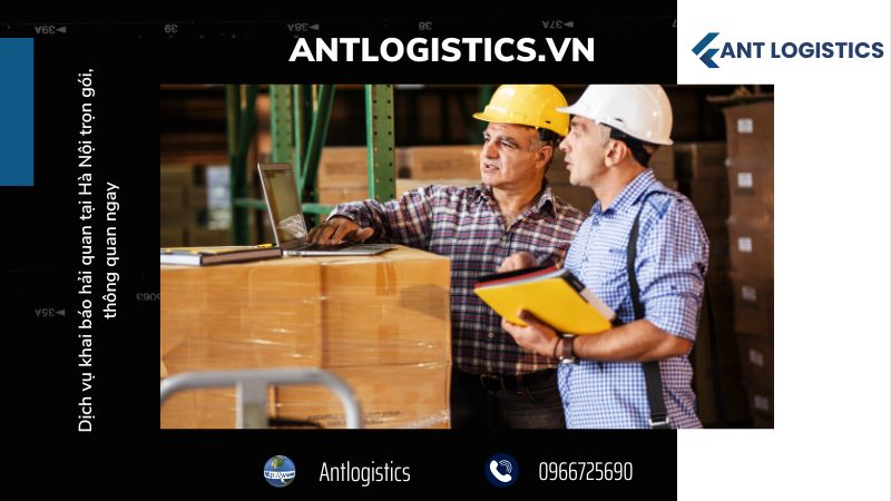 Các loại hình trong khai báo hải quan