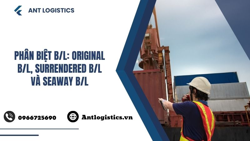 Phân biệt BL Original BL, Surrendered BL và Seaway BL