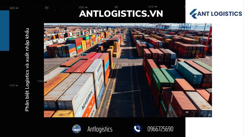 Quy Trình Xuất Nhập Khẩu và vai trò của Logistics