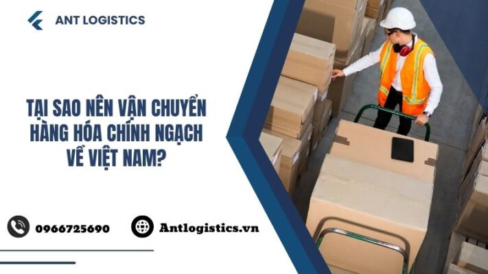 Tại sao nên vận chuyển hàng hóa chính ngạch về Việt Nam