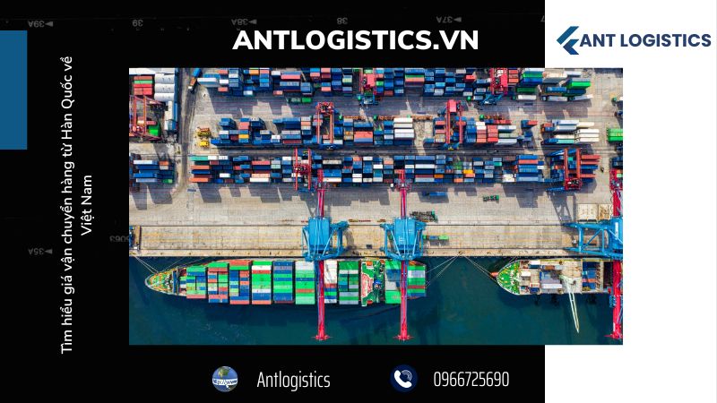 Lựa chọn đơn vị vận chuyển uy tín