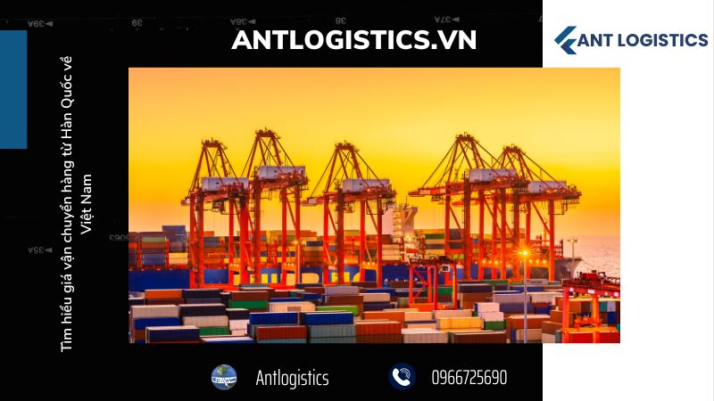 Các yếu tố ảnh hưởng đến giá vận chuyển hàng từ Hàn Quốc về Việt Nam