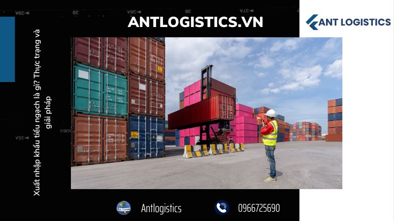 Thực trạng xuất nhập khẩu tiểu ngạch ở Việt Nam