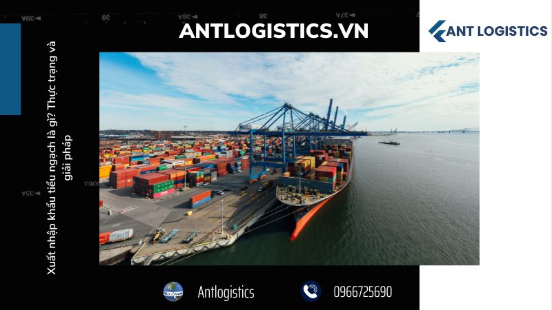 Xuất nhập khẩu chính ngạch - Một lựa chọn an toàn hơn