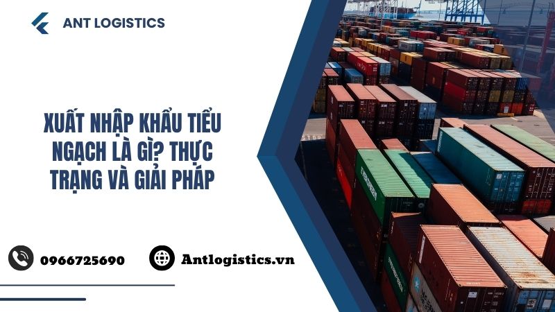Xuất nhập khẩu tiểu ngạch là gì Thực trạng và giải pháp