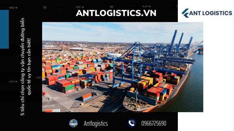 Năng lực và kinh nghiệm của công ty vận chuyển
