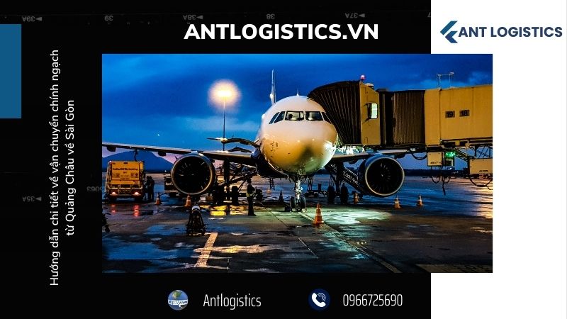 Lý do chọn Antlogistics cho vận chuyển chính ngạch