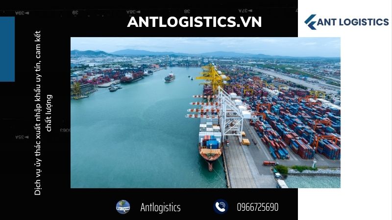 Chi phí dịch vụ ủy thác xuất nhập khẩu