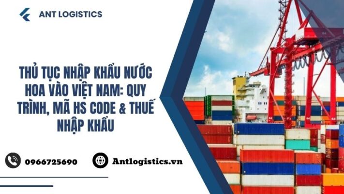 Hướng Dẫn Chi Tiết Từ A-Z Thủ Tục Nhập Khẩu Mô Hình Trưng Bày