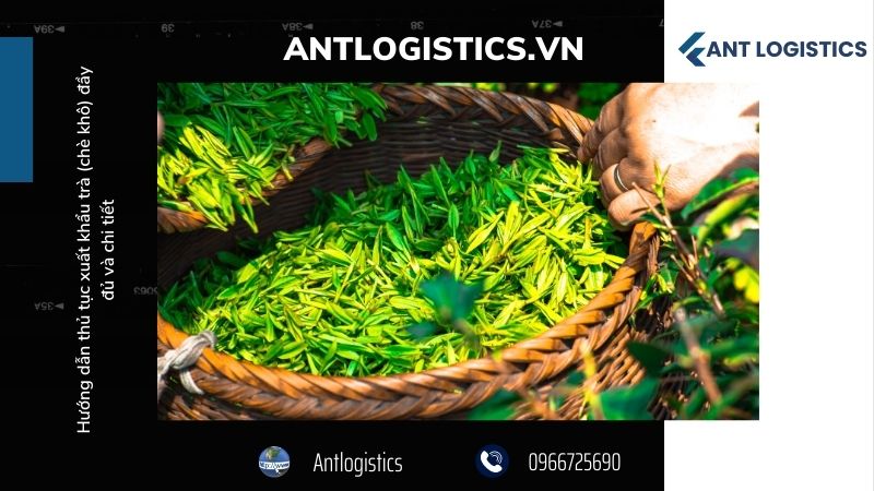 Quy trình thủ tục xuất khẩu trà