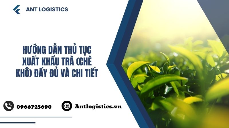 Hướng dẫn thủ tục xuất khẩu trà (chè khô) đầy đủ và chi tiết