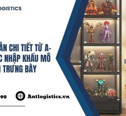 Hướng Dẫn Chi Tiết Từ A-Z Thủ Tục Nhập Khẩu Mô Hình Trưng Bày