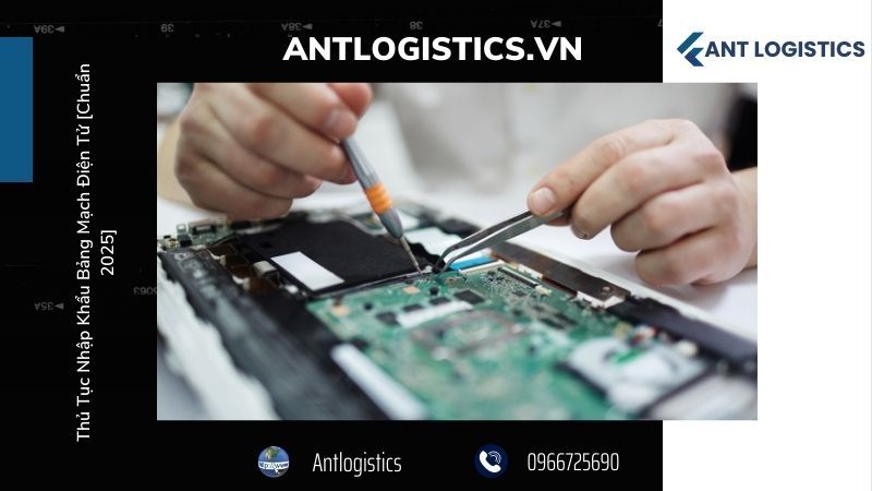 Dịch vụ hỗ trợ từ Antlogistics