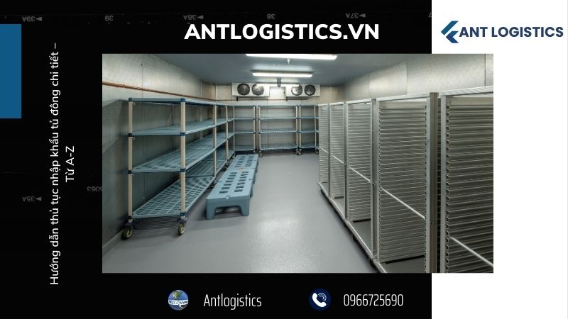 Quy Trình Thủ Tục Nhập Khẩu Tủ Đông