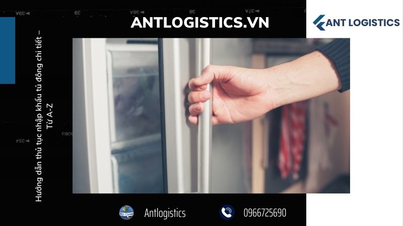 Giới Thiệu Tổng Quan Về Thủ Tục Nhập Khẩu Tủ Đông