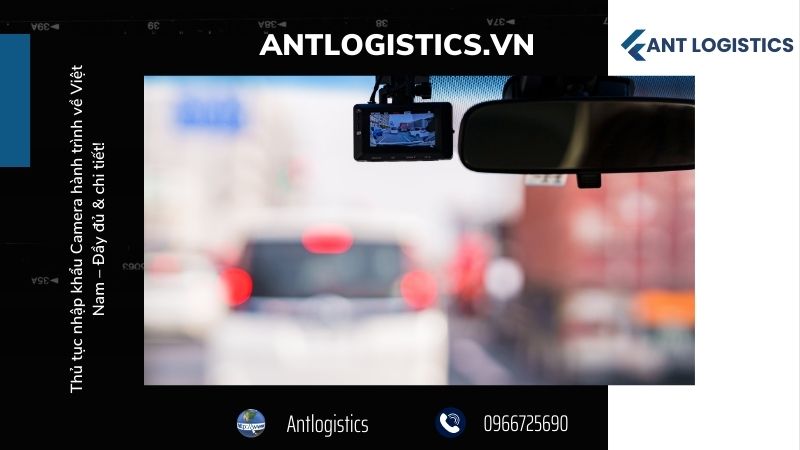 Thời gian và cơ quan thẩm quyền trong quy trình nhập khẩu
