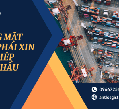 Giấy phép xuất nhập khẩu