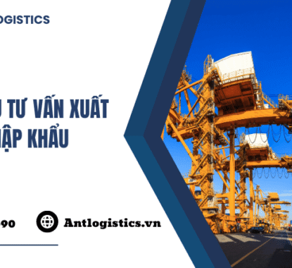 Dịch vụ tư vấn xuất nhập khẩu