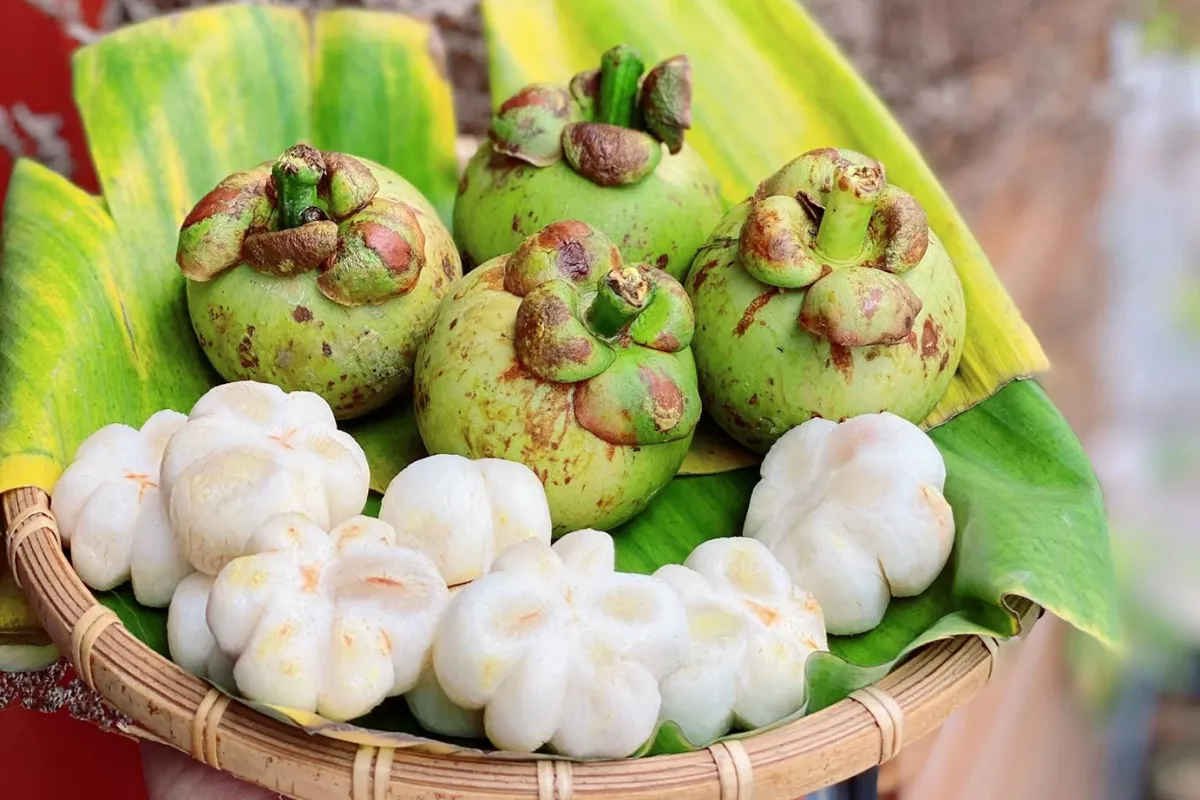 Nguyên liệu làm gỏi gà măng cụt