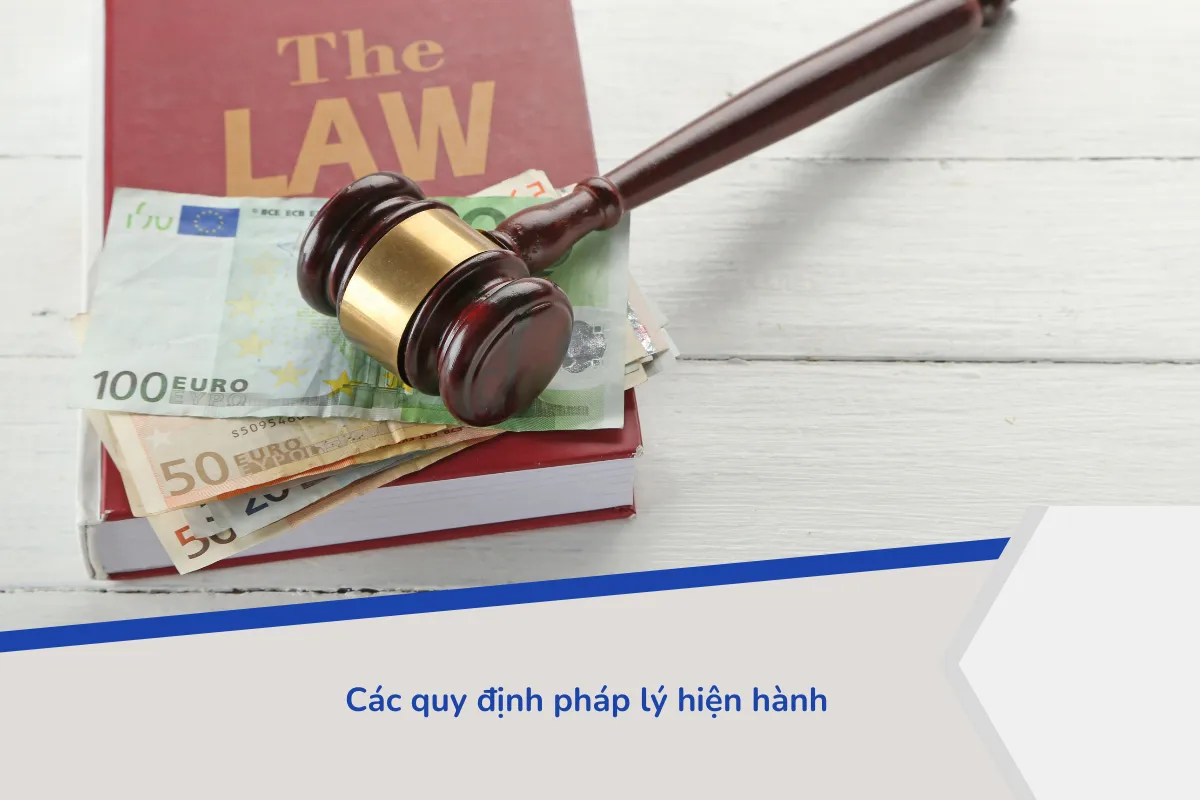 Các quy định pháp lý hiện hành