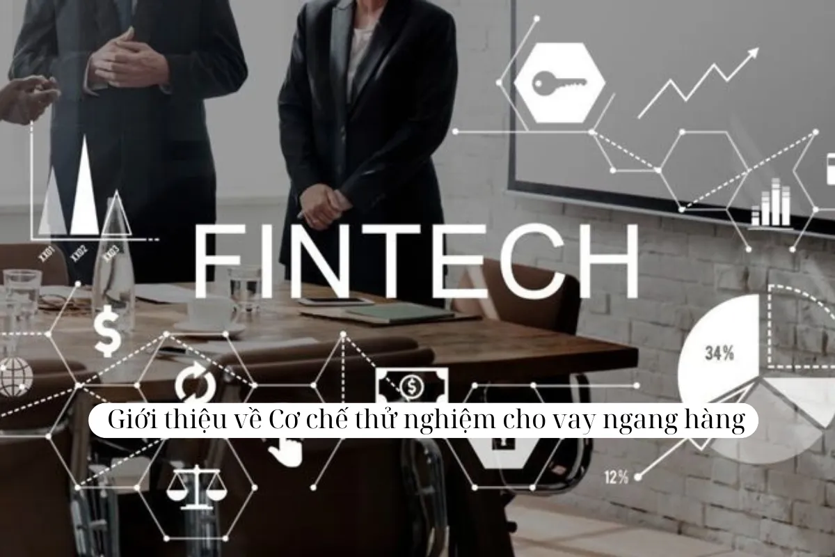 Giới thiệu về Cơ chế thử nghiệm cho vay ngang hàng