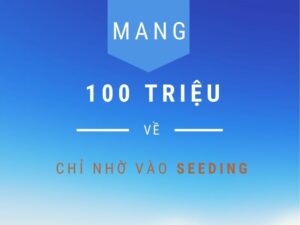 mang về 100 triệu chỉ với seeding