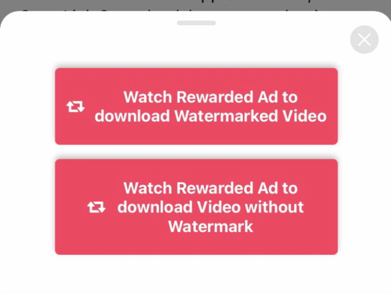 cách xóa id tiktok bằng ReposterTik