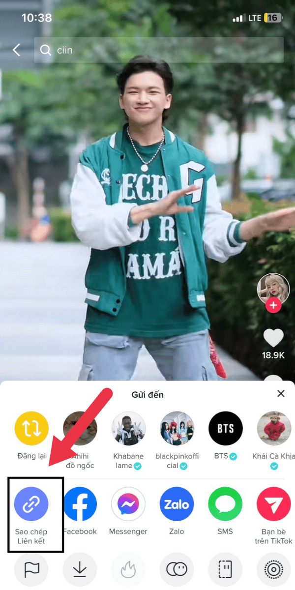 sao chép liên kết tiktok