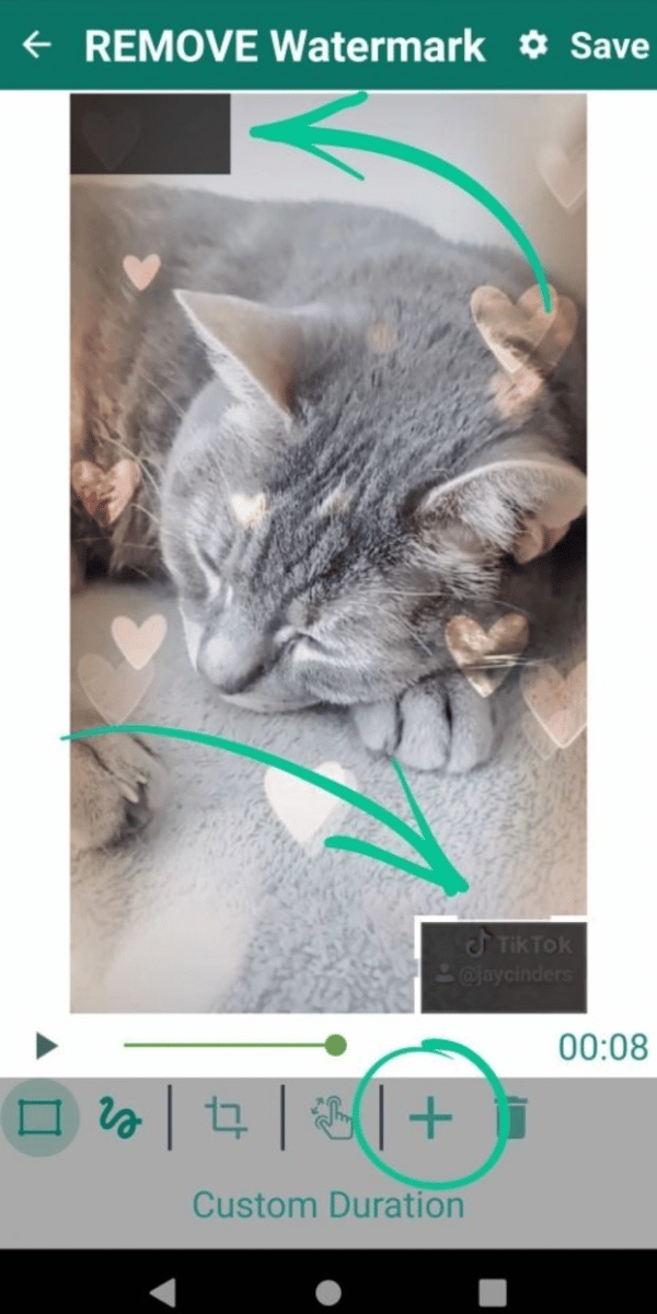 xóa id tiktok bằng Apowersoft Watermark Remover