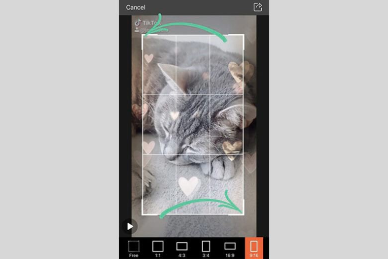 xóa logo tiktok