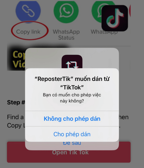 xoas logo tiktok bawfng ReposterTik