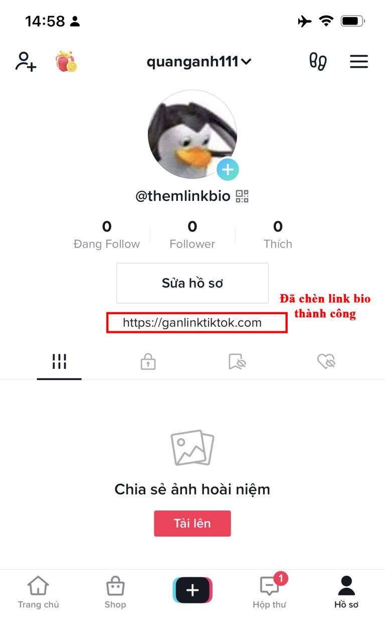 Dán link bio đã tạo vào và đây là kết quả