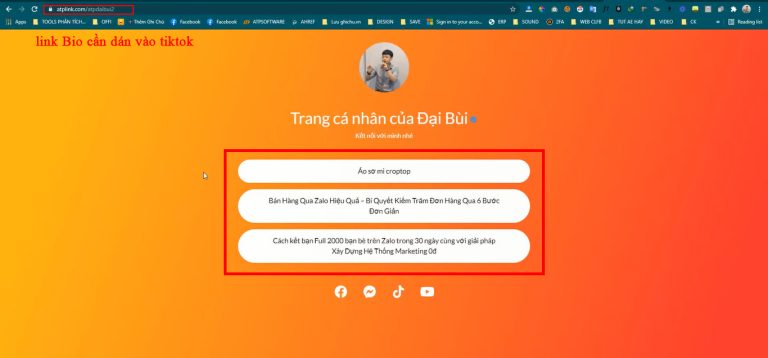 Link Bio đã tạo xong và dán vào trang Tiktok của Sếp