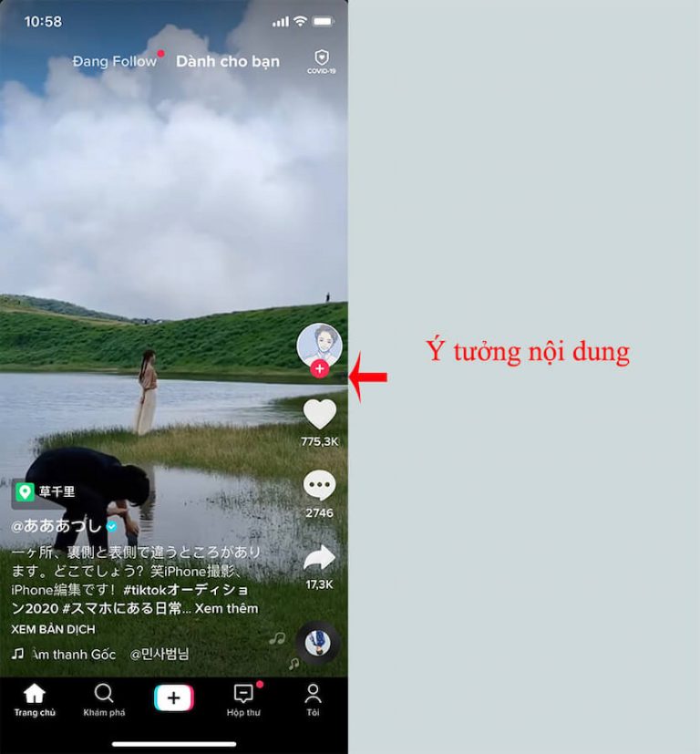tăng folow tiktok