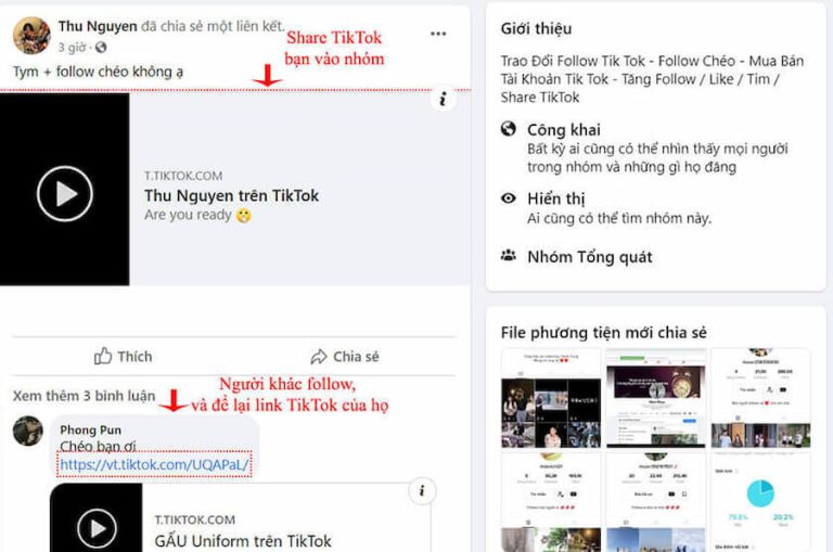 tăng folow tiktok