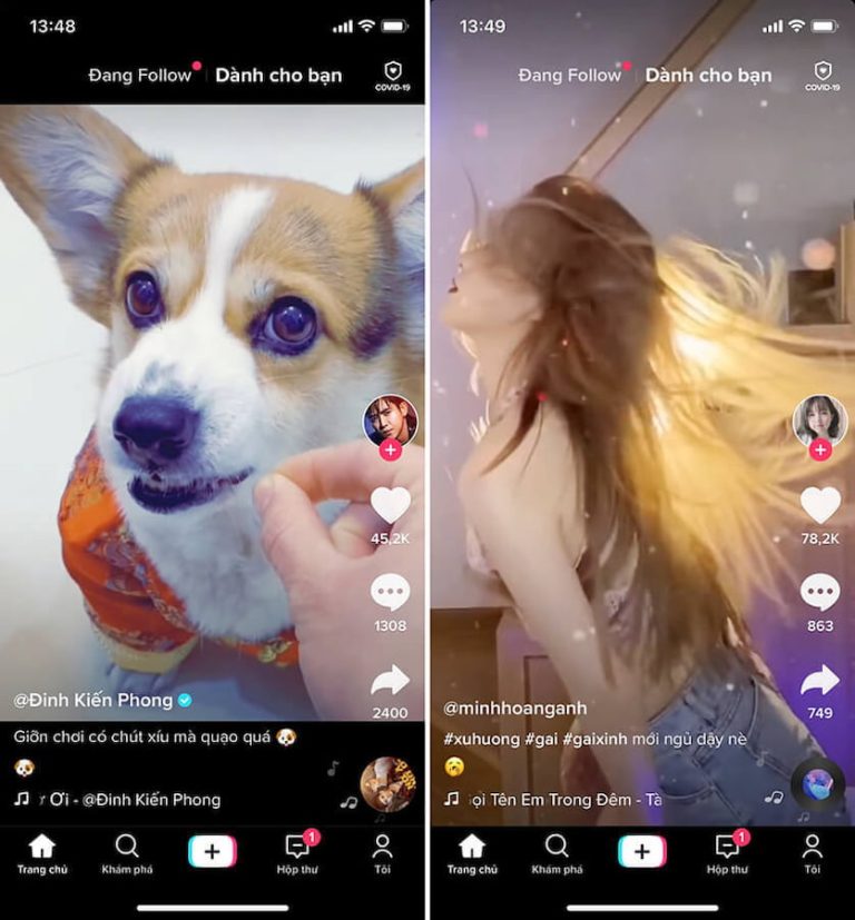 tăng folow tiktok