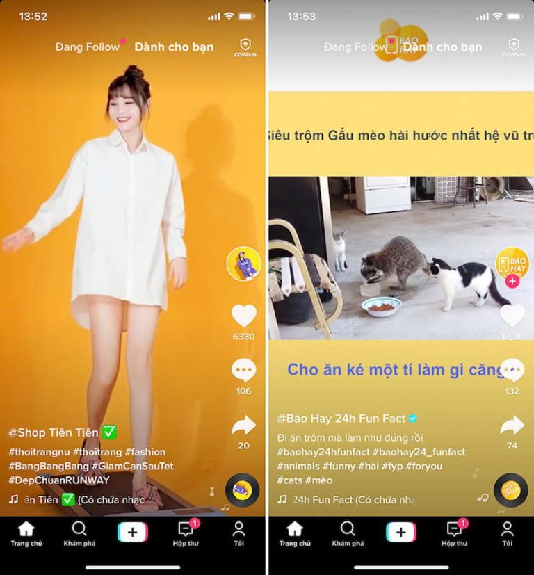 tăng folow tiktok