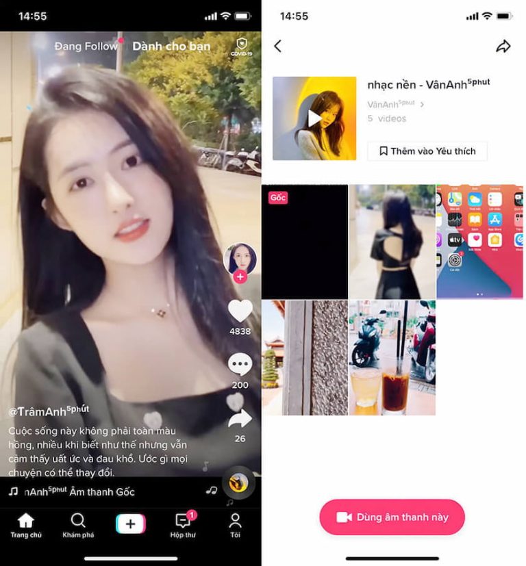 tăng folow tiktok